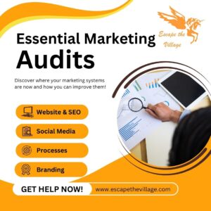 Marketing Audits