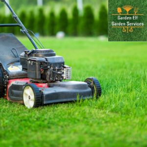 social media post for The Garden Elf with a lawn mower on grass and their logo