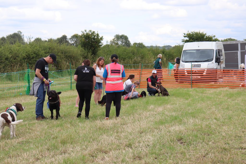 Dog show at Dauntsey FOT with Liz volunteering and running the classes for a second year